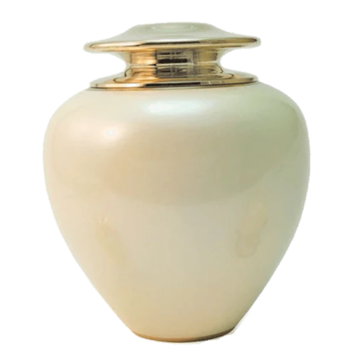 Cremation urns serve as a beautiful vessel for ashes, allowing families to choose designs that reflect the personality of the deceased.