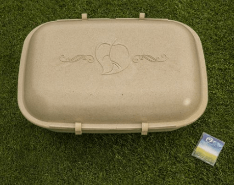 Pets Eco-Friendly Urns